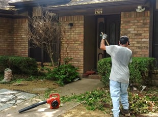 Bush Trimming by Edward Rodriguez for Celissa W. in Arlington, TX