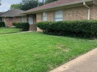 Bush Trimming by Rosie Salas for Brandy G. in Irving, TX