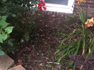 Cleanups by Joshua Caulk for Alleshia K. in Wilmington, DE