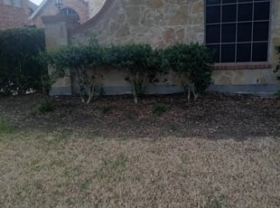 Bush Trimming by Walter Allison for Bryan R. in Grand Prairie, TX