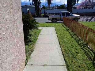 Melody W.'s Yard Cutting service result