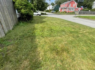 John B.'s Yard Cutting service result
