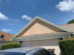 Bush Trimming by Mike Douglas for Rhiannon T. in Oviedo, FL