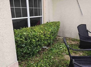 Bush Trimming by Ernesto Montalvo for Theodore L. in Cape Coral, FL