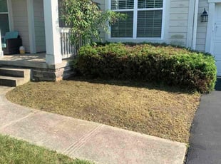 Weeding by B.J. Schuetz for Xiaomin G. in New Albany, OH