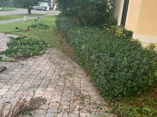 Bush Trimming by Alejandro Hurtado for Rachelle C. in Cutler Bay, FL
