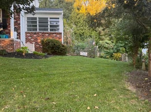 Kirk S.'s Lawn Care service result