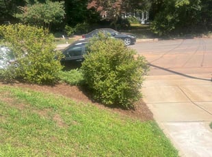 Bush Trimming by Sandra Gutierrez for Willie G. in Raleigh, NC