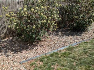 Leaf Removal by Bradley Swenson for Kristy J. in Ault, CO