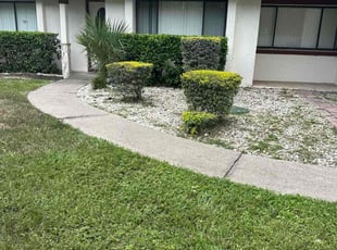 Bush Trimming by Michael Murphy for Dahlia M. in Orlando, FL