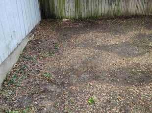 Leaf Removal by Beseja Moses for Byn R. in San Antonio, TX