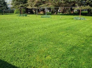 Tracey L.'s Lawn Care service result