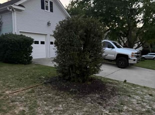 Bush Trimming by Amelia Brown for Wendi P. in Columbia, SC