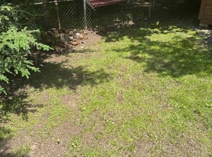 Leaf Removal by Harry Figueroa for Michelle M. in Springfield, MA