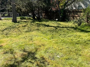 Cleanups by Ramon Mojica for Christina B. in Sacramento, CA