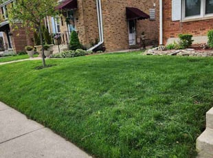 David R.'s Lawn Maintenance service result