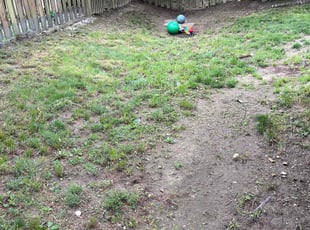 Cleanups by Baba Al for Christopher C. in Severn, MD