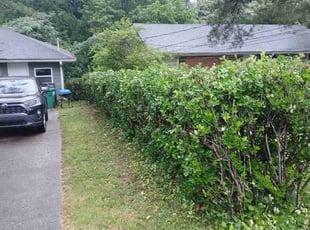 Bush Trimming by Joshua Walker for Vickie J. in Decatur, GA
