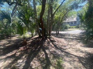 Leaf Removal by Racine Curnell for Nolan P. in Isle of Palms, SC