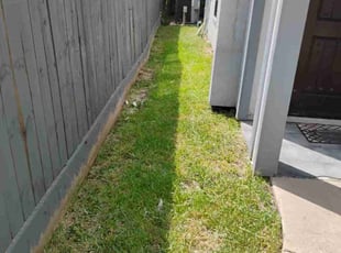Susan H.'s Lawn Care service result