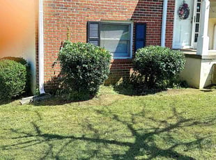 Bush Trimming by Jordan Guerrero for Moronda W. in Marietta, GA