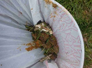 Cleanups by Frank Koller for Candace B. in Indianapolis, IN