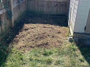 Landscaping by Almonte Marshall for Carolina T. in Durham, NC