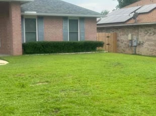 Bush Trimming by Travis Frederickson for Rick D. in Pensacola, FL