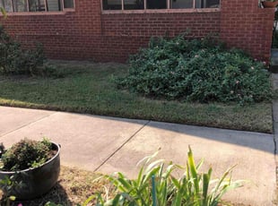 Kimberly G.'s Lawn Service service result