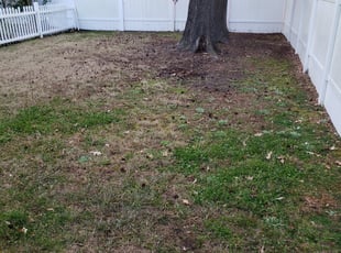 Cleanups by Edward Kauffman for Kristen K. in Virginia Beach, VA