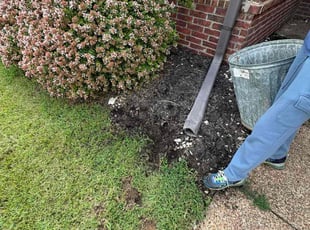 Larry H.'s Flower Bed Weeding service result