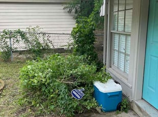 Cleanups by Juan Uribe for Catherine W. in Dallas, TX