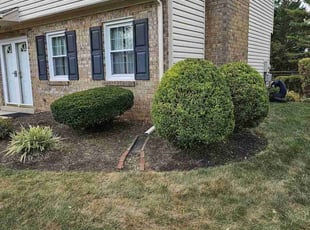 Weeding by Rose Valle for Lee T. in Manassas, VA