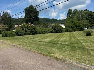 Michael R.'s Lawn Maintenance service result