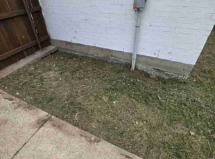 Cleanups by Tyamani Patterson for Chad S. in Midlothian, TX