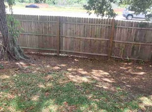 Leaf Removal by Coty Thomas for Kellie M. in Lakeland, FL