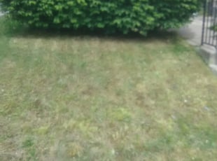 Cleanups by Charles Pease for Rahiem b. in Lansdowne, PA