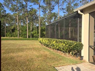 Bush Trimming by AL Webb for Yvonne W. in Land O' Lakes, FL