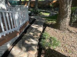 Leaf Removal by Israel Valle for Gwen F. in San Antonio, TX