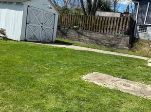 Brett T.'s Grass Cutting service result