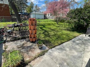 Cleanups by Desmond Easley for Pat P. in Ferndale, MI