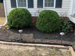 Bush Trimming by Chris Bruhh for Mariel F. in Mechanicsville, VA
