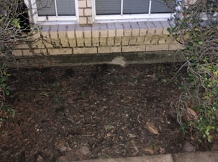 Weeding by Chelle Estades for Jenny A. in Houston, TX