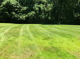 Larry S.'s Lawn Service service result
