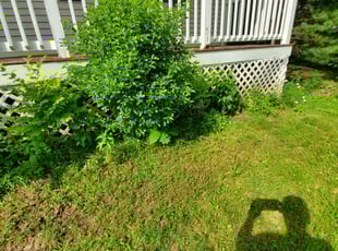 Justin A.'s Lawn Care service result