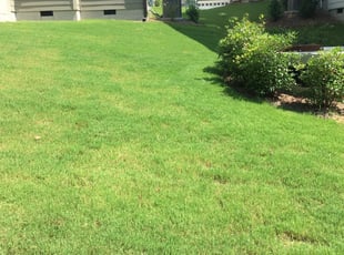 Lawn cutting services in my area best sale