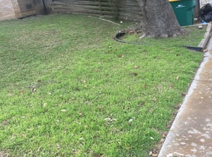 Taylors mowing clearance