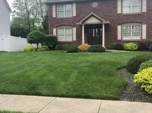 Jonathan S.'s turf maintenance service result