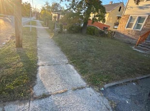 Samdani G.'s lawn care services service result