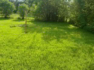 Gail L.'s lawn care services service result